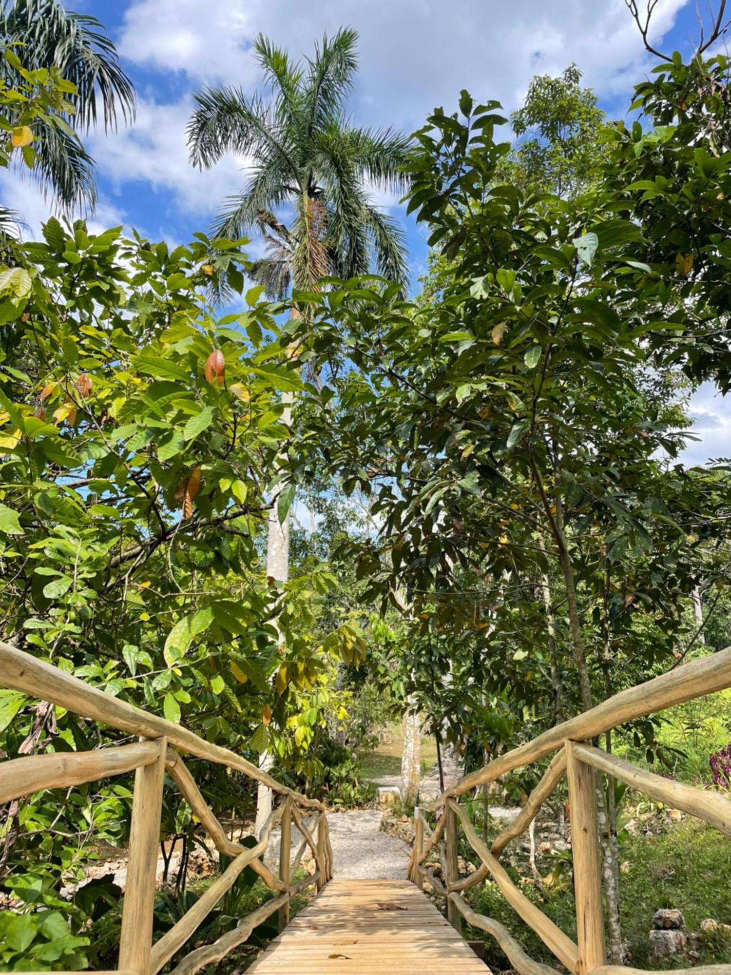 Rancho Romana Ecolodge Park V-01 El Limon Zewnętrze zdjęcie